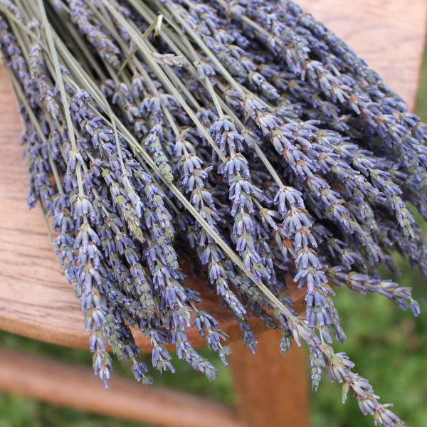 French Lavender Fragrant