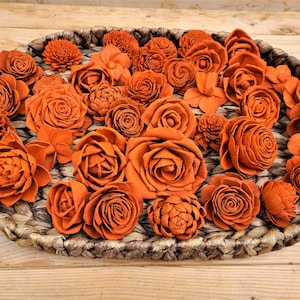Terracotta / Burnt Orange Premium Sola Wood Flowers Assorted Variety