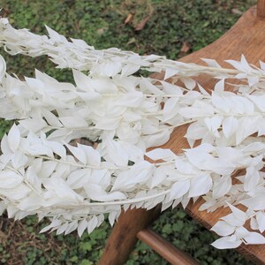 May include: A bunch of white dried leaves, arranged on a wooden surface. The leaves are long and narrow, with a delicate texture.
