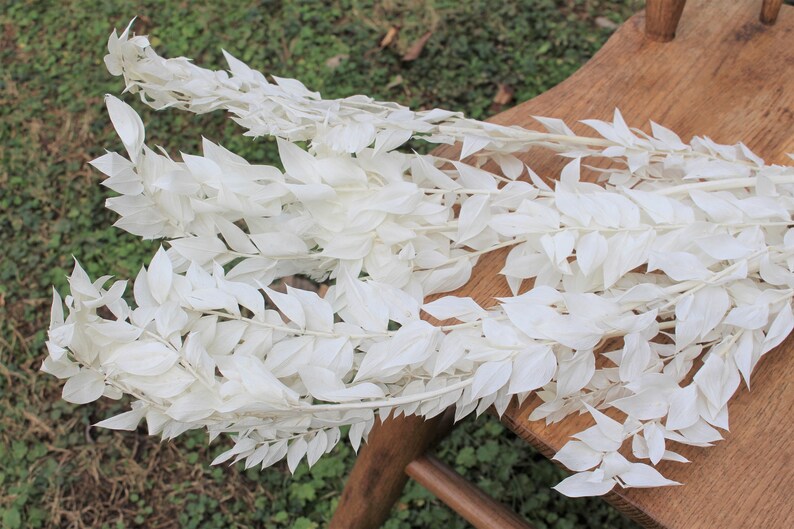 May include: A bunch of white dried leaves, arranged on a wooden surface. The leaves are long and narrow, with a delicate texture.