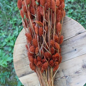 May include: A bunch of dried brown wheatgrass with a white ribbon tied around the stems. The wheatgrass is arranged on a wooden surface.