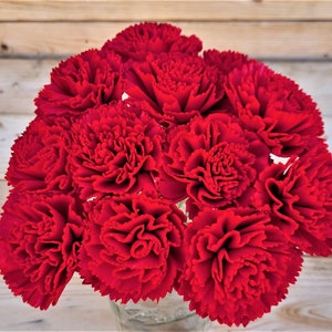 May include: A bouquet of red carnations arranged in a clear glass vase. The carnations are in full bloom and have a deep red color.
