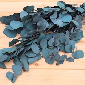Teal Blue Preserved Silver Dollar Eucalyptus, silver dollar eucalyptus, burgundy, green, blue eucalyptus for garlands, greenery for weddings