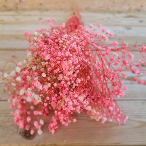 Natural Pink Preserved Baby's Breath Bundle, Unbleached Baby's Breath, Natural Gypsophilia, Preserved Gypsophilia image 9