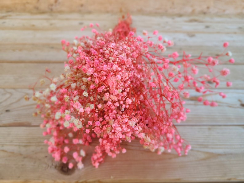 Natural Pink Preserved Baby's Breath Bundle, Unbleached Baby's Breath, Natural Gypsophilia, Preserved Gypsophilia image 9