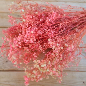 Natural Pink Preserved Baby's Breath Bundle, Unbleached Baby's Breath, Natural Gypsophilia, Preserved Gypsophilia image 10