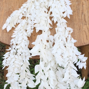 May include: A bunch of white dried leaves, arranged in a cascading pattern, on a wooden surface. The leaves are delicate and have a natural, rustic look.