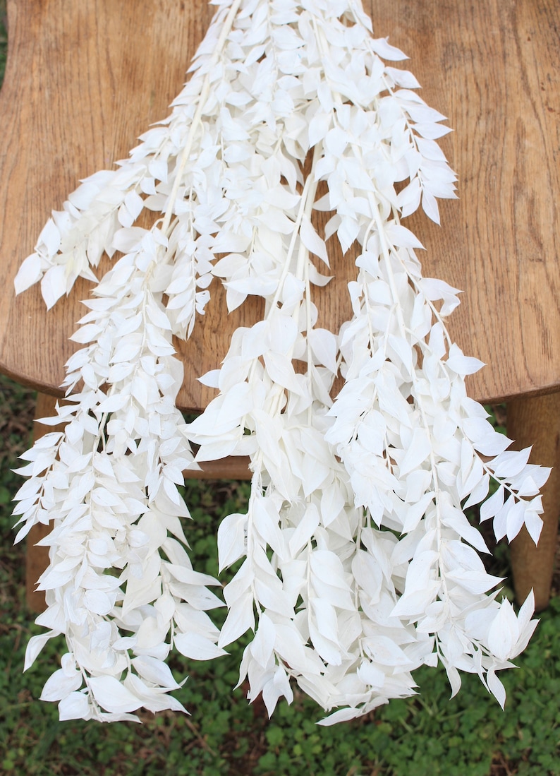 May include: A bunch of white dried leaves, arranged in a cascading pattern, on a wooden surface. The leaves are delicate and have a natural, rustic look.