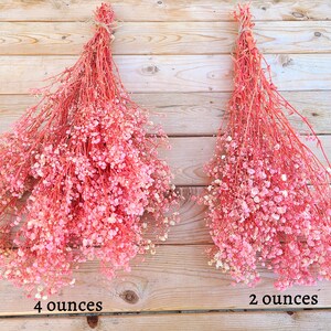 Natural Pink Preserved Baby's Breath Bundle, Unbleached Baby's Breath, Natural Gypsophilia, Preserved Gypsophilia image 2