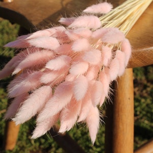 Pink Bunny Tails/ Rabbit Tails
