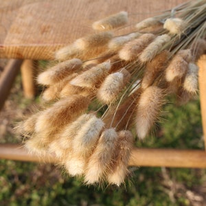 Natural Brown Bunny Tails/ Rabbit Tails- Choose Your Color
