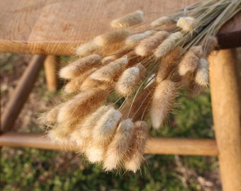 Natural Brown Bunny Tails/ Rabbit Tails- Choose Your Color