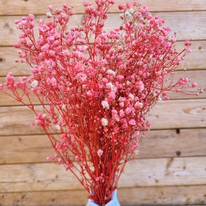 Natural Pink Preserved Baby's Breath Bundle, Unbleached Baby's Breath, Natural Gypsophilia, Preserved Gypsophilia image 8