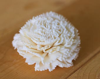 Sola Wood Carnations 2"