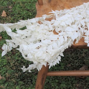 May include: A bunch of white dried leaves arranged on a wooden chair. The leaves are delicate and have a natural, rustic look.