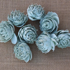 Sage Green Sola Flower Succulents