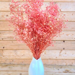 Natural Pink Preserved Baby's Breath Bundle, Unbleached Baby's Breath, Natural Gypsophilia, Preserved Gypsophilia image 7