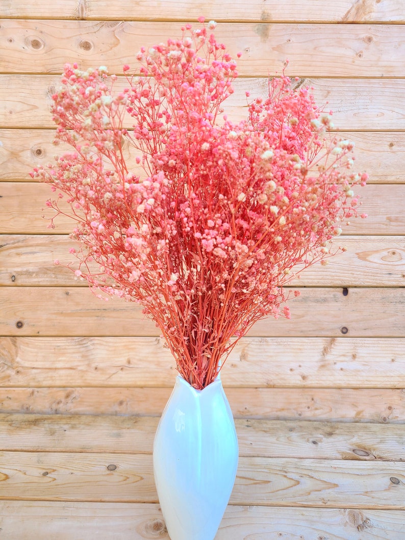 Natural Pink Preserved Baby's Breath Bundle, Unbleached Baby's Breath, Natural Gypsophilia, Preserved Gypsophilia image 7