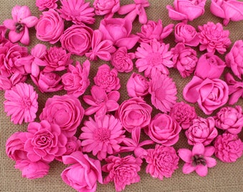Hot Pink Assorted Mini Sola Wood Flower Assortment