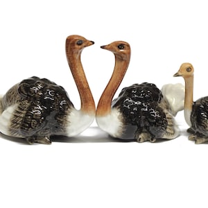 Può includere: Tre statuine di struzzo in ceramica. Due sono più grandi e si fronteggiano con il collo curvo. Lo struzzo più piccolo è dietro di loro e guarda a destra. Tutti e tre sono marroni, neri e bianchi.