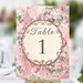 see more listings in the WEDDING TABLE NUMBERS section