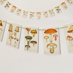 Guirnalda de tarjetas con diseño de setas del bosque y el núcleo de la cabaña otoñal, ilustración vintage, decoración del hogar, 2 metros