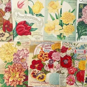 Toppers de cartes de graines de fleurs catalogue vintage étiquettes-cadeaux botaniques note journal indésirable