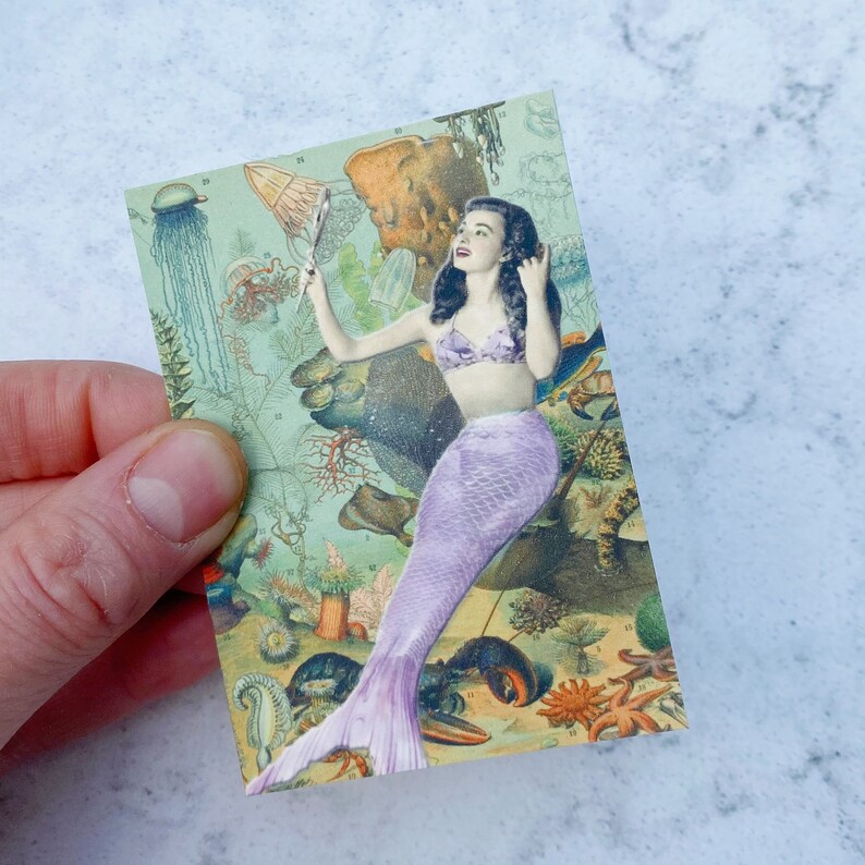 May include: A vintage illustration of a mermaid with long, dark hair, wearing a purple bikini top and a purple tail. The mermaid is holding a mirror and looking at her reflection. The background is a colorful underwater scene with coral, seaweed, and fish.