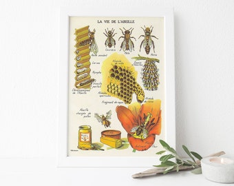 Vintage Bee Hive Illustration Print Home Decor Honey Spring Summer Art