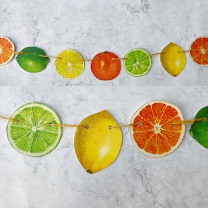 May include: A colourful citrus fruit garland with alternating limes, lemons, oranges, and grapefruits. The garland is made of paper and is perfect for a summer party or a tropical themed event.