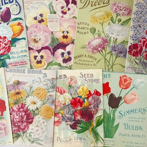 Toppers de cartes de graines de fleurs catalogue vintage étiquettes-cadeaux botaniques note journal indésirable