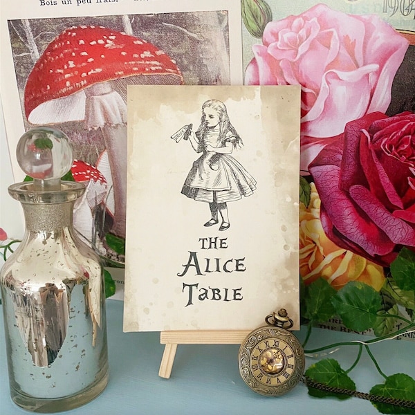 Alice In Wonderland Theme Wedding Table Cards Names or Numbers