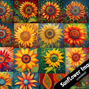Imagens de flores do sol, impressões de flores do sol, capas de jornais digitais, imagens impressas sob demanda, imagens de capa de almofada, flores do sol comerciais gratuitas,