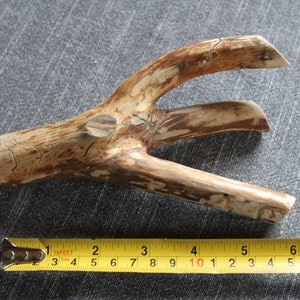 Houten haken - wandhaken - kledinghaken - badkamerhaken / naturel