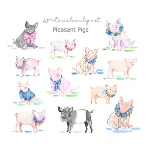 Watercolor Pigs Clip Art Collection, Watercolor Pigs, Piglets, Pig Clip Art, Watercolor Baby Shower, Piggy, Watercolor Floral Clip Art