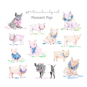 Aquarell Schweine Clip Art Sammlung, Aquarell Schweine, Ferkel, Schwein Clip Art, Aquarell Babyparty, Schweinchen, Aquarell Blumen Clip Art