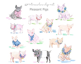 Watercolor Pigs Clip Art Collection, Watercolor Pigs, Piglets, Pig Clip Art, Watercolor Baby Shower, Piggy, Watercolor Floral Clip Art