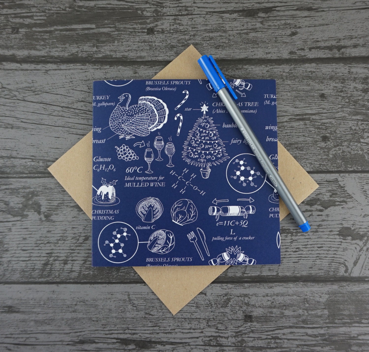 The Science of Christmas STEM Inspired Illustrated Biology - Etsy UK