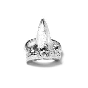 Kleine haaientandring