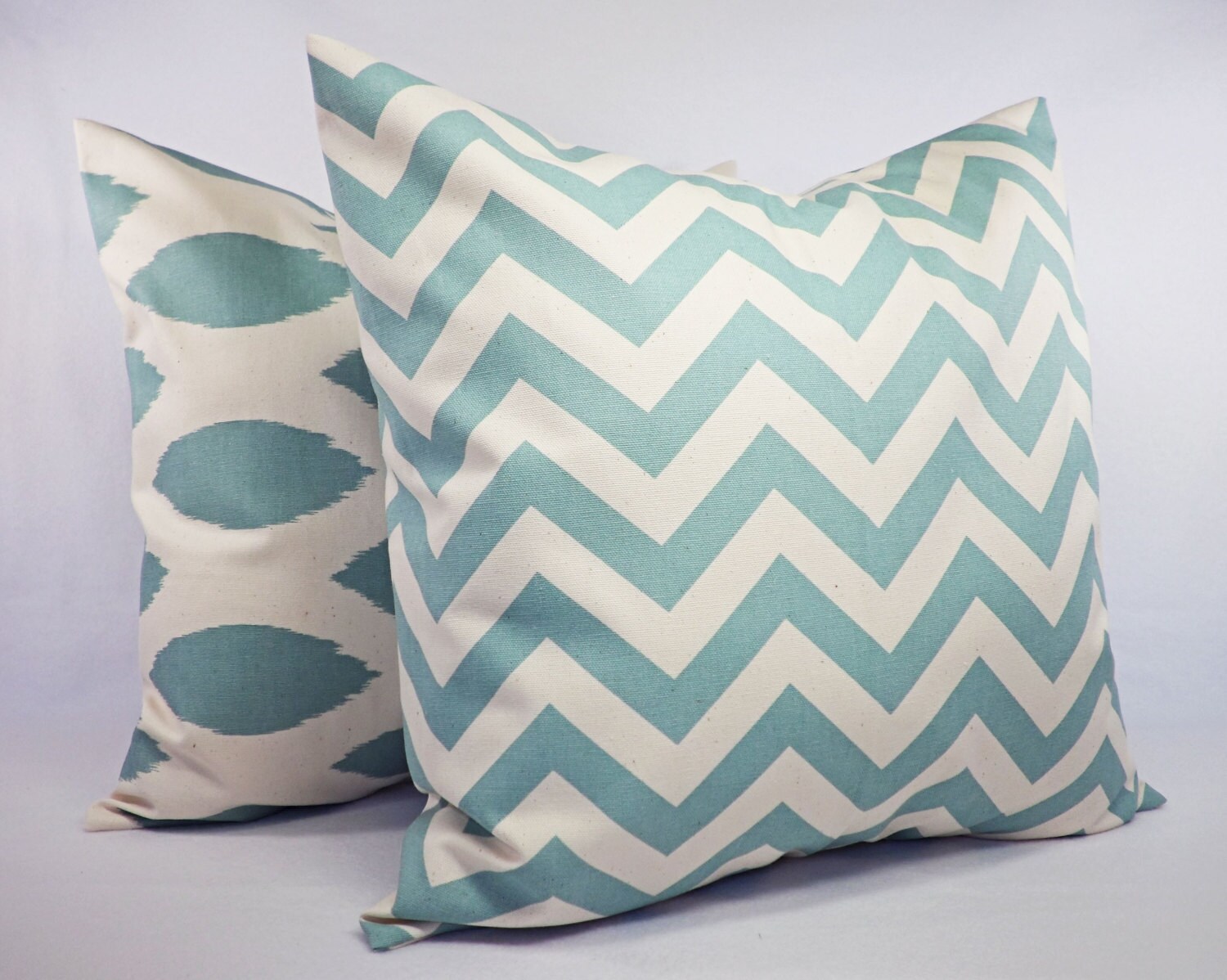One Decorative Pillow Pillow Covers Two Throw Pillow Etsy UK