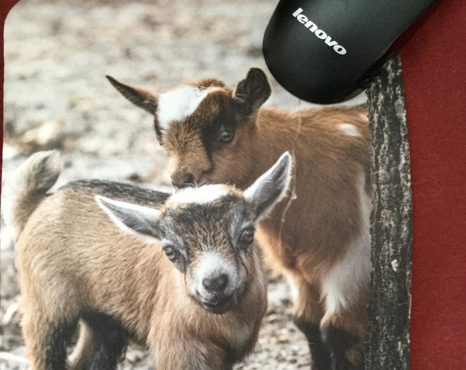 Mouse Pad featuring Two baby goats from the Two Old Goats Farm.  Everyone needs a mouse pad with cute goats