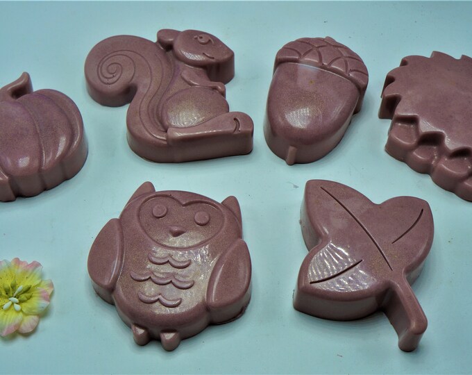 Goat Milk & Shea Butter Fall Guest Soap Collection.  Lots of bathrooms to decorate?  One for the kitchen too!