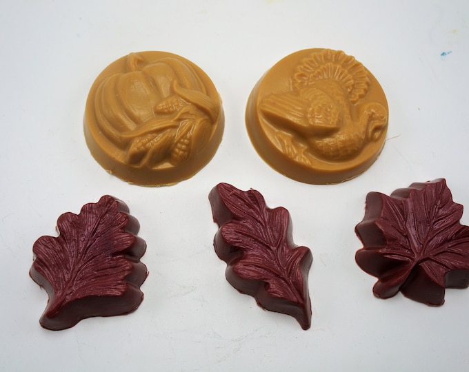 Goat Milk & Shea Butter Fall Guest Soap Collection.  Lots of bathrooms to decorate?  One for the kitchen too!
