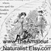 Anne reviewed 1902 Vintage Illustration, Charming Fall Scene with Boy and Girl, Antique Print, Digital Download