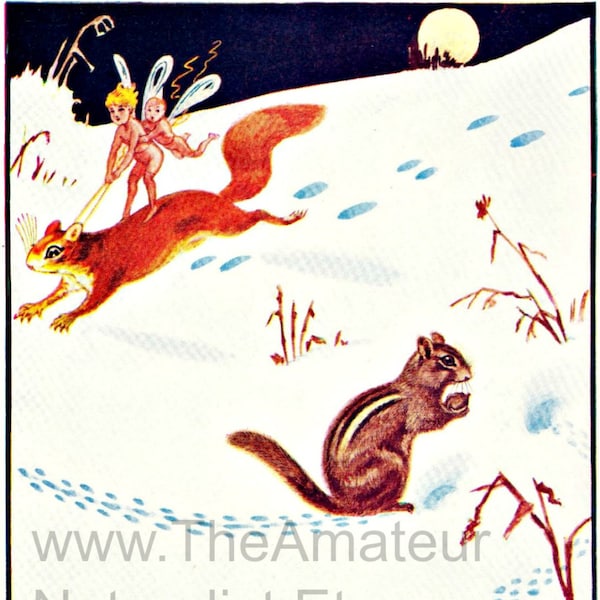 Lunatique scène d’hiver avec des fées et animaux, lecture, des pistes de neige, téléchargement numérique, Illustration Vintage, Antique Print