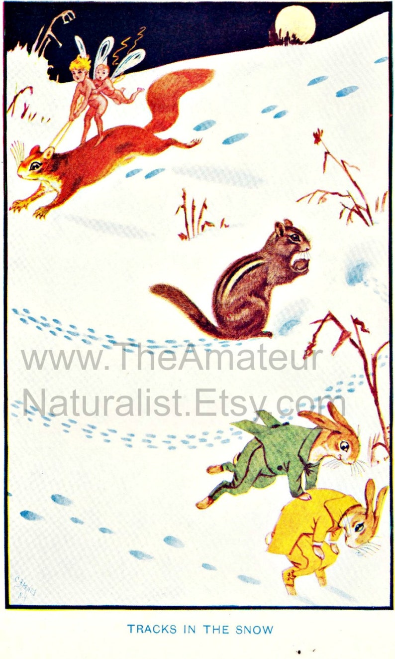 Whimsical Winter Scene with Fairies and Animals Playing, Tracks in the Snow, Digital Download, Vintage Illustration, Antique Print image 1