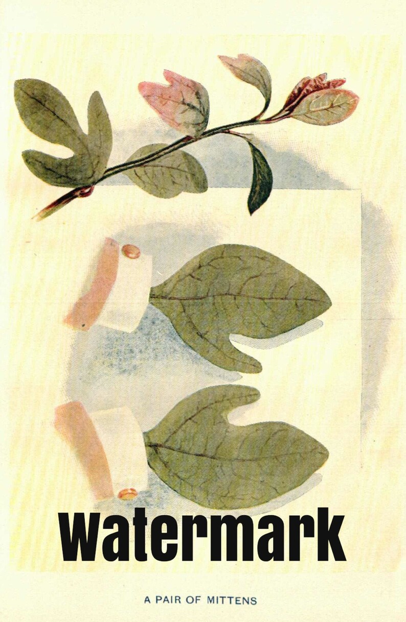 1902 Vintage Illustration, Sassafras Mittens, Antique Print, Digital Download image 1