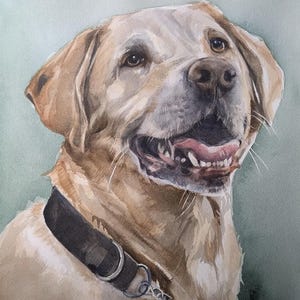 Hand Painted Watercolor Pet Portrait, Custom Dog Cat Memorial Art, Pet Loss, Rainbow Bridge