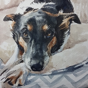 Custom Hand Painted Portrait of your Pet Portraits from photos ultimate gift veterinary pet loss Rainbow Bridge 5 x 7 inches