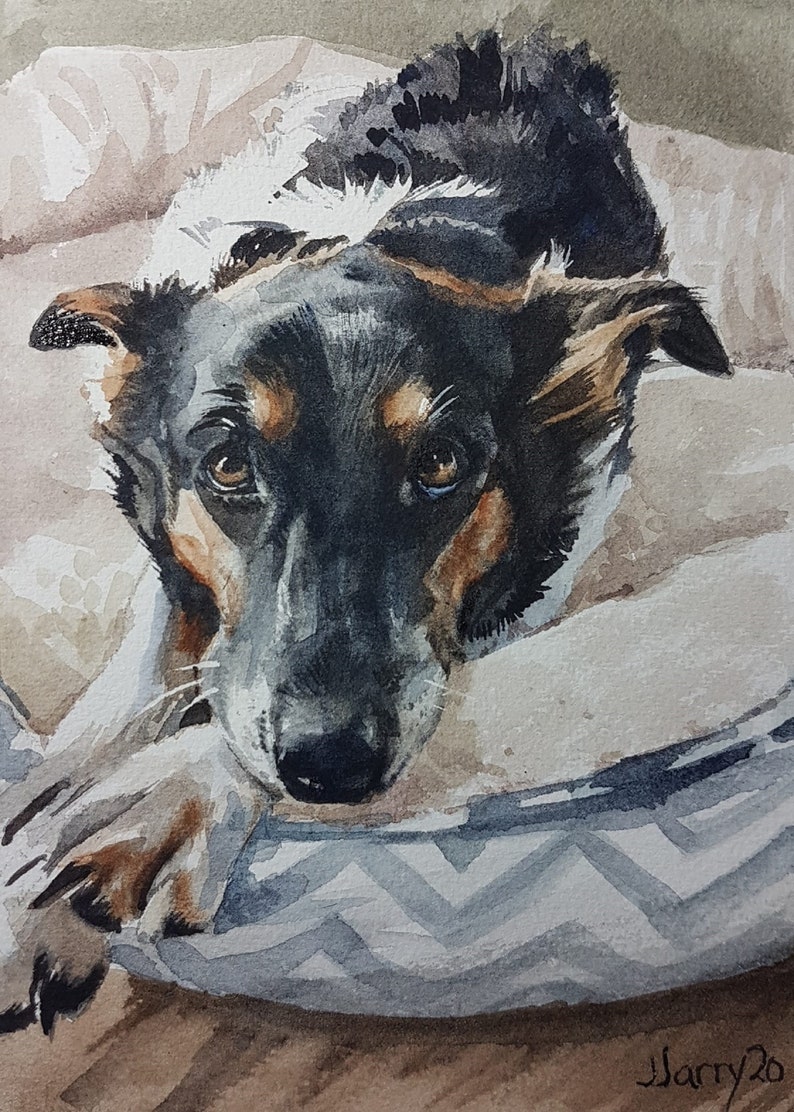 Custom Hand Painted Portrait of your Pet Portraits from photos ultimate gift veterinary pet loss Rainbow Bridge 5 x 7 inches